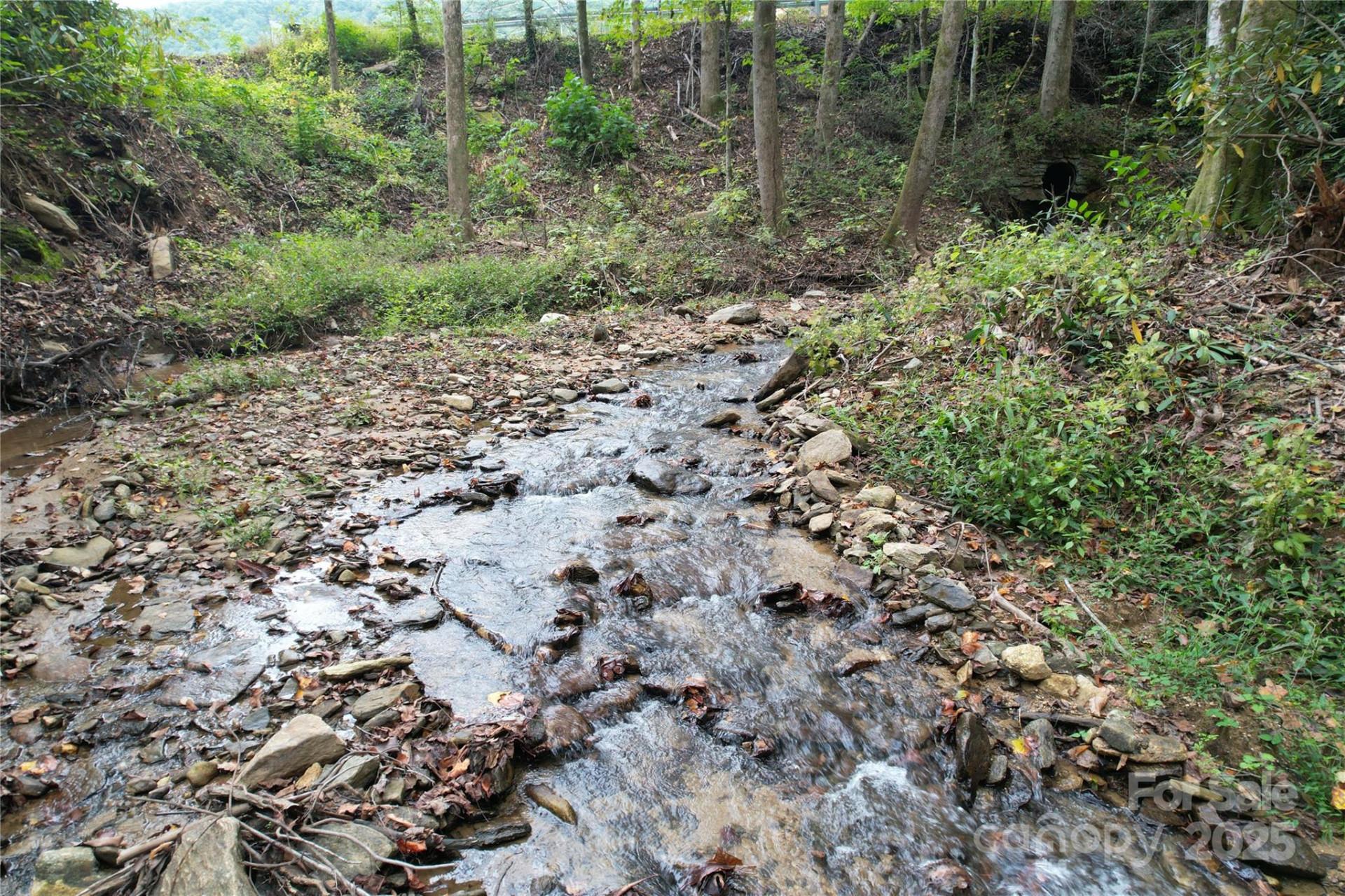 0 Mt Hebron Road - Photo 4