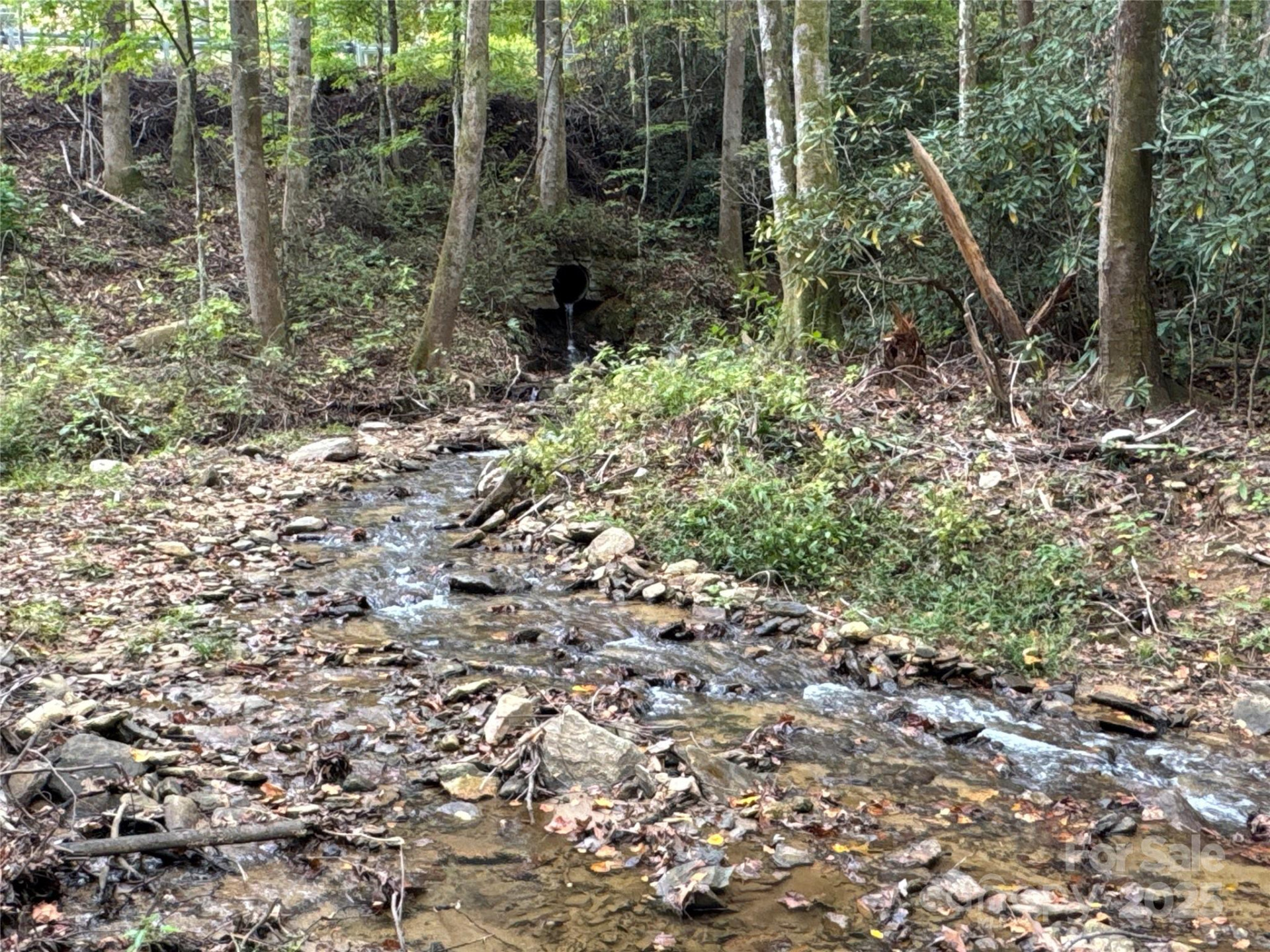 0 Mt Hebron Road - Photo 7