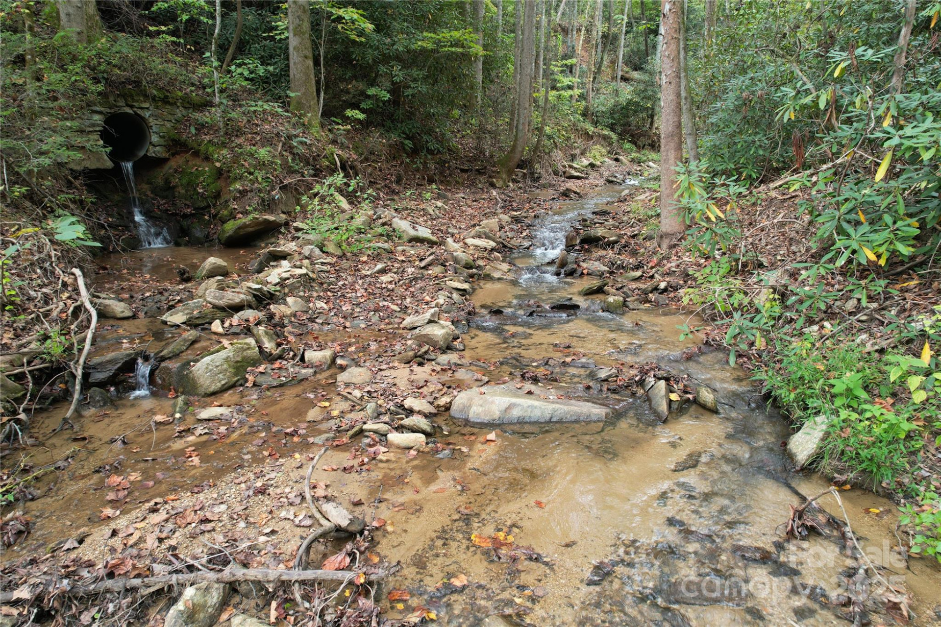 0 Mt Hebron Road - Photo 9