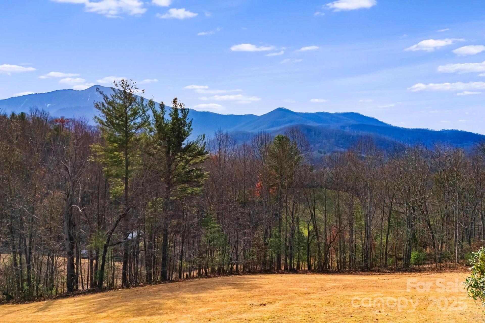 686 Sam Jones Road - Photo 3