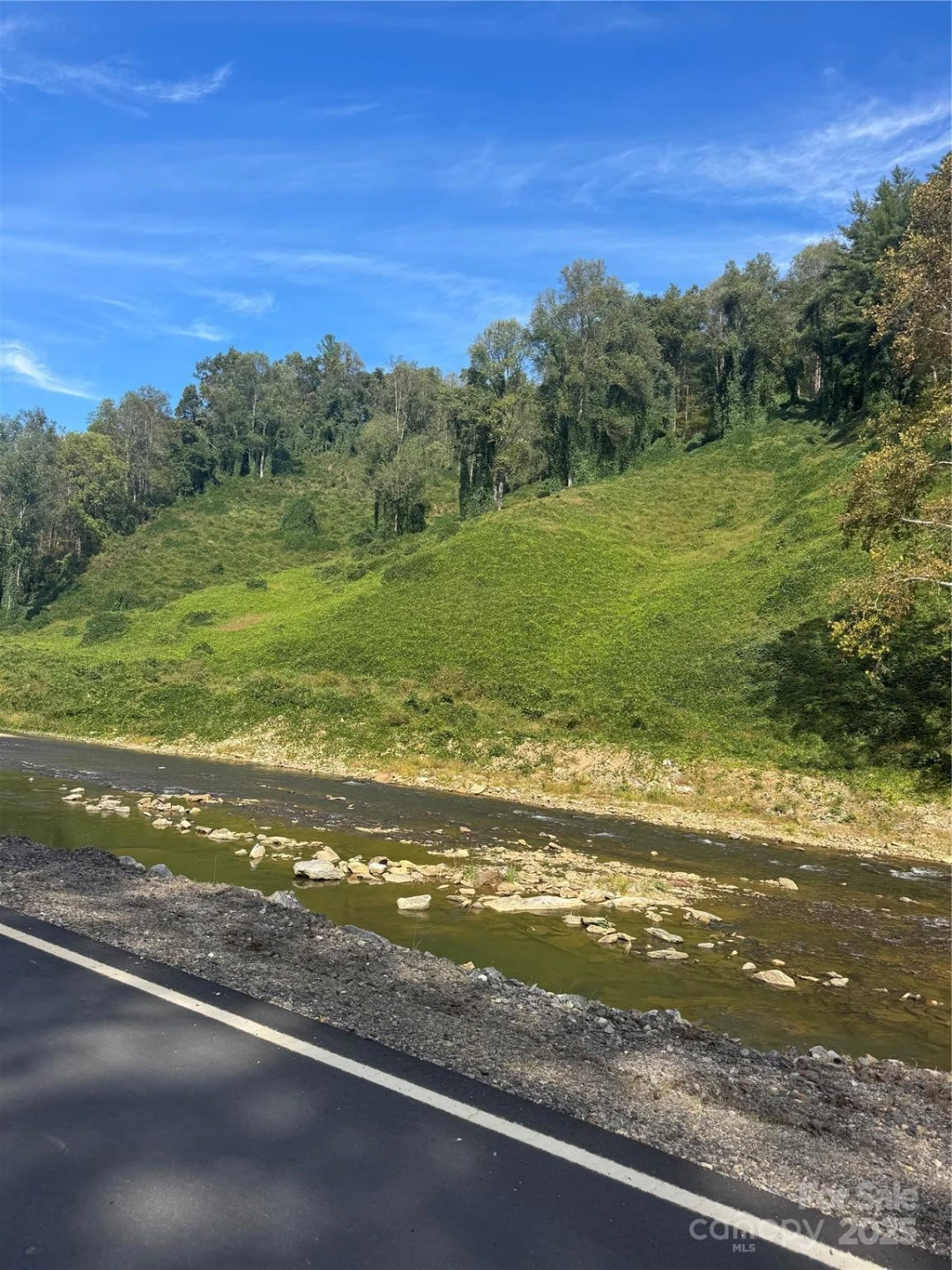 TBD US 19W Highway - Photo 2