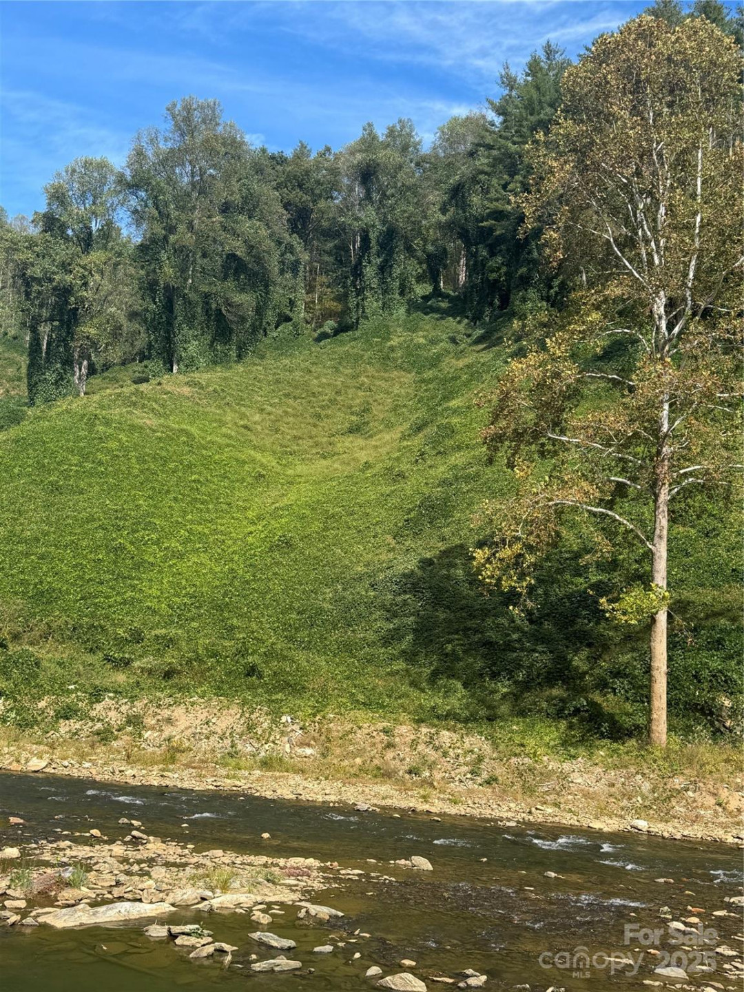 TBD US 19W Highway - Photo 3