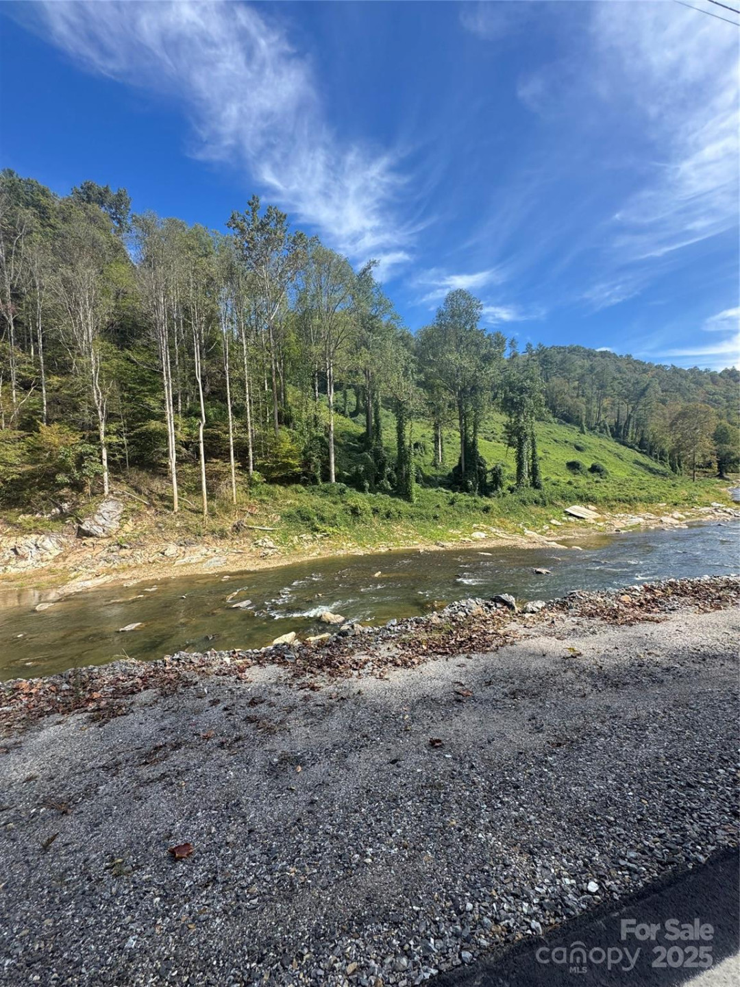 TBD US 19W Highway - Photo 10