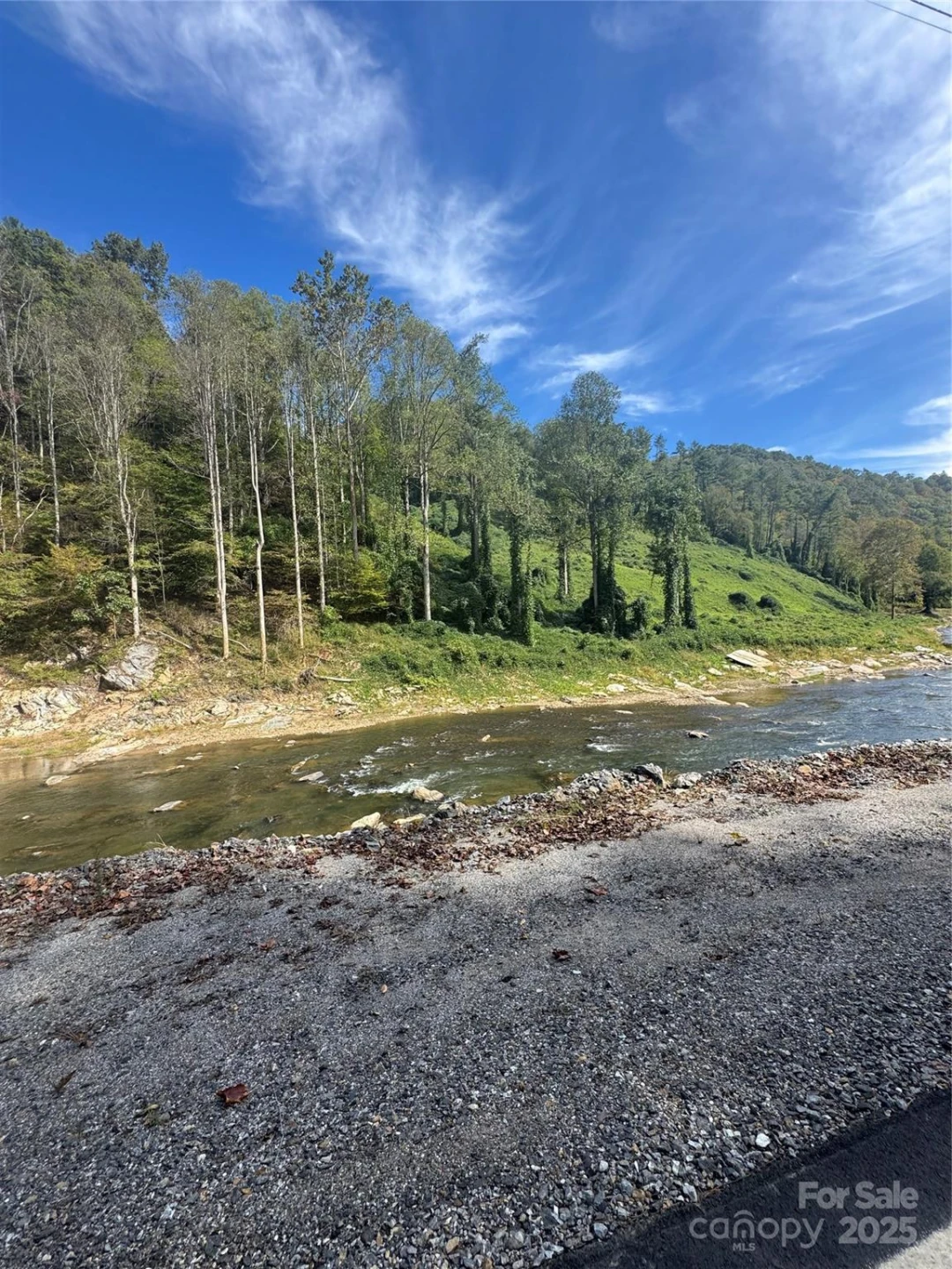 TBD US 19W Highway - Photo 10