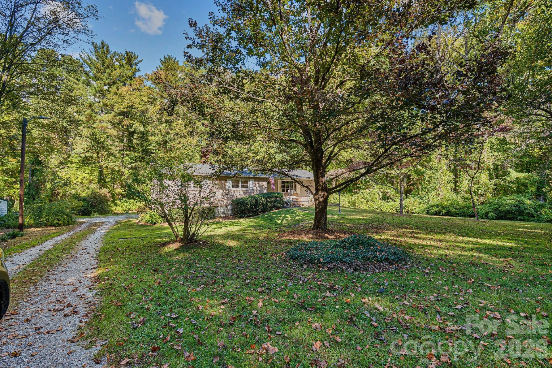 3214 Debbie Drive - Photo 2