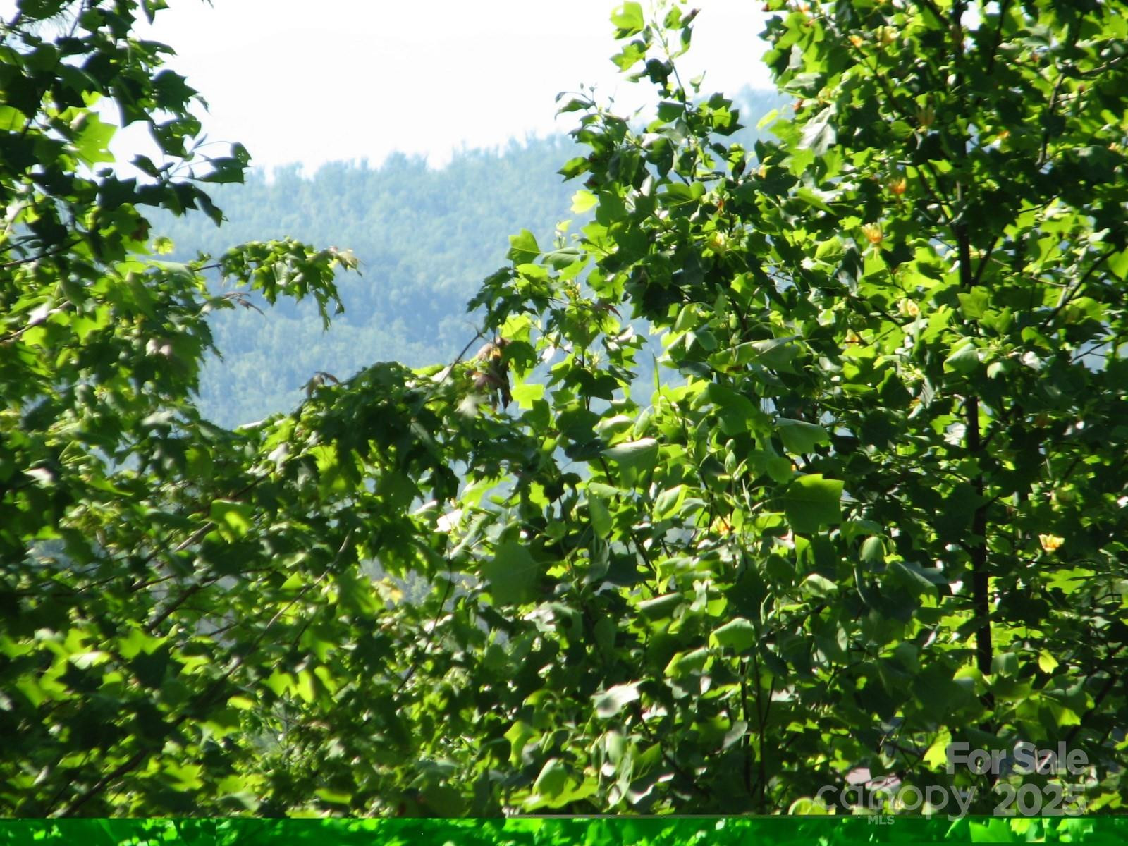 0000 Double Eagle Drive #25 - Photo 2