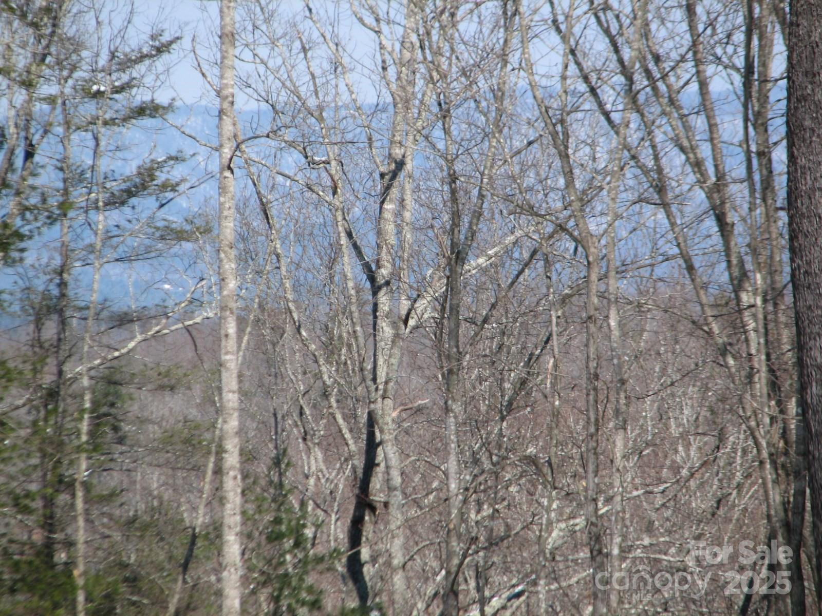 0000 Double Eagle Drive #25 - Photo 11