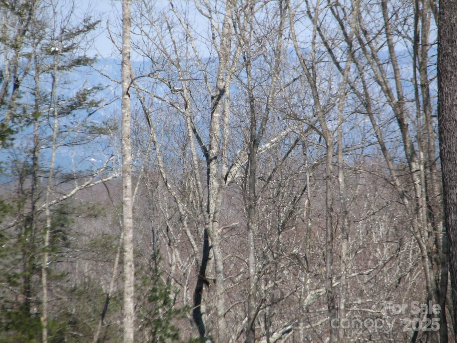 0000 Double Eagle Drive #25 - Photo 11