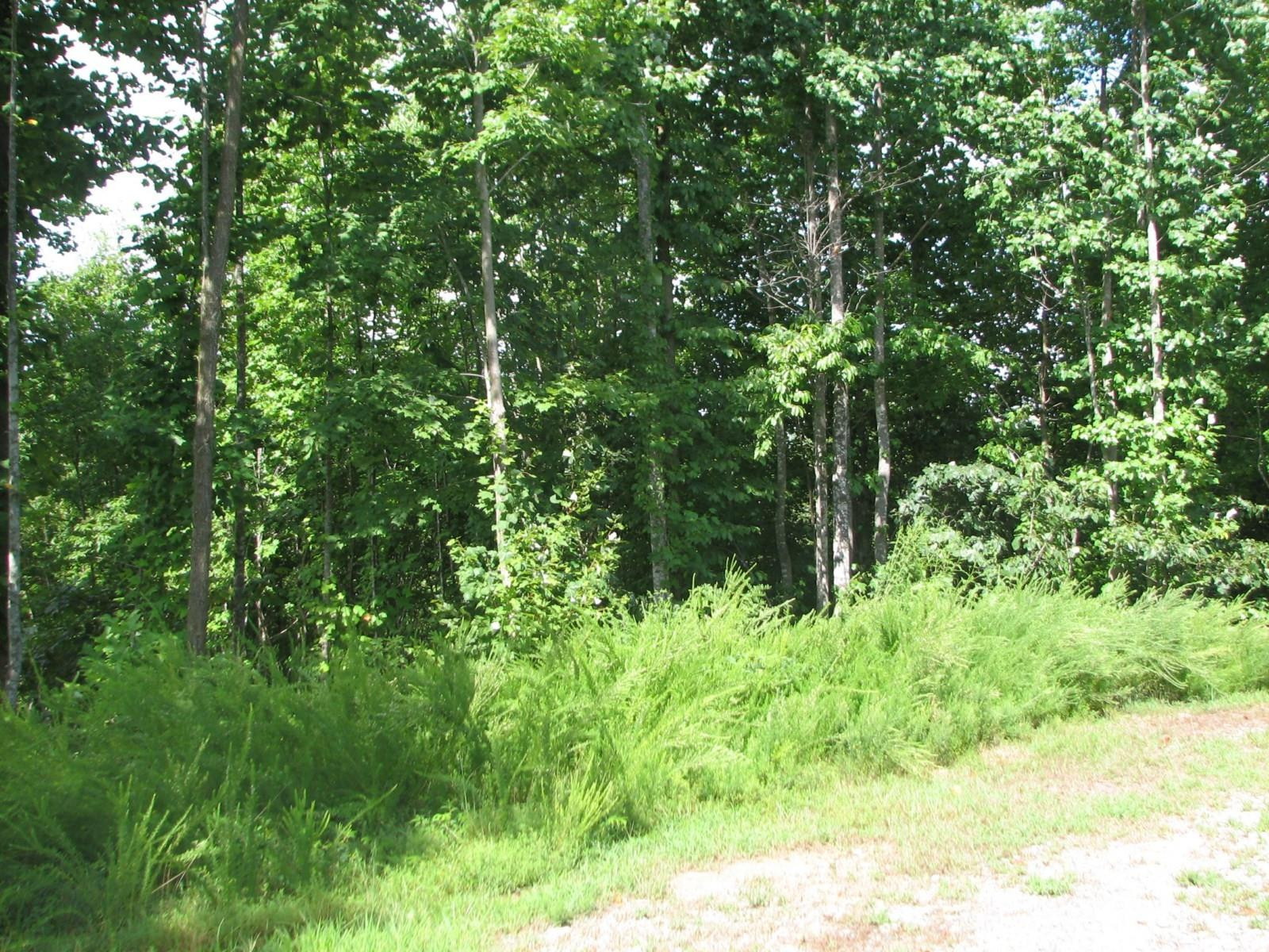 0000 Double Eagle Drive #25 - Photo 12