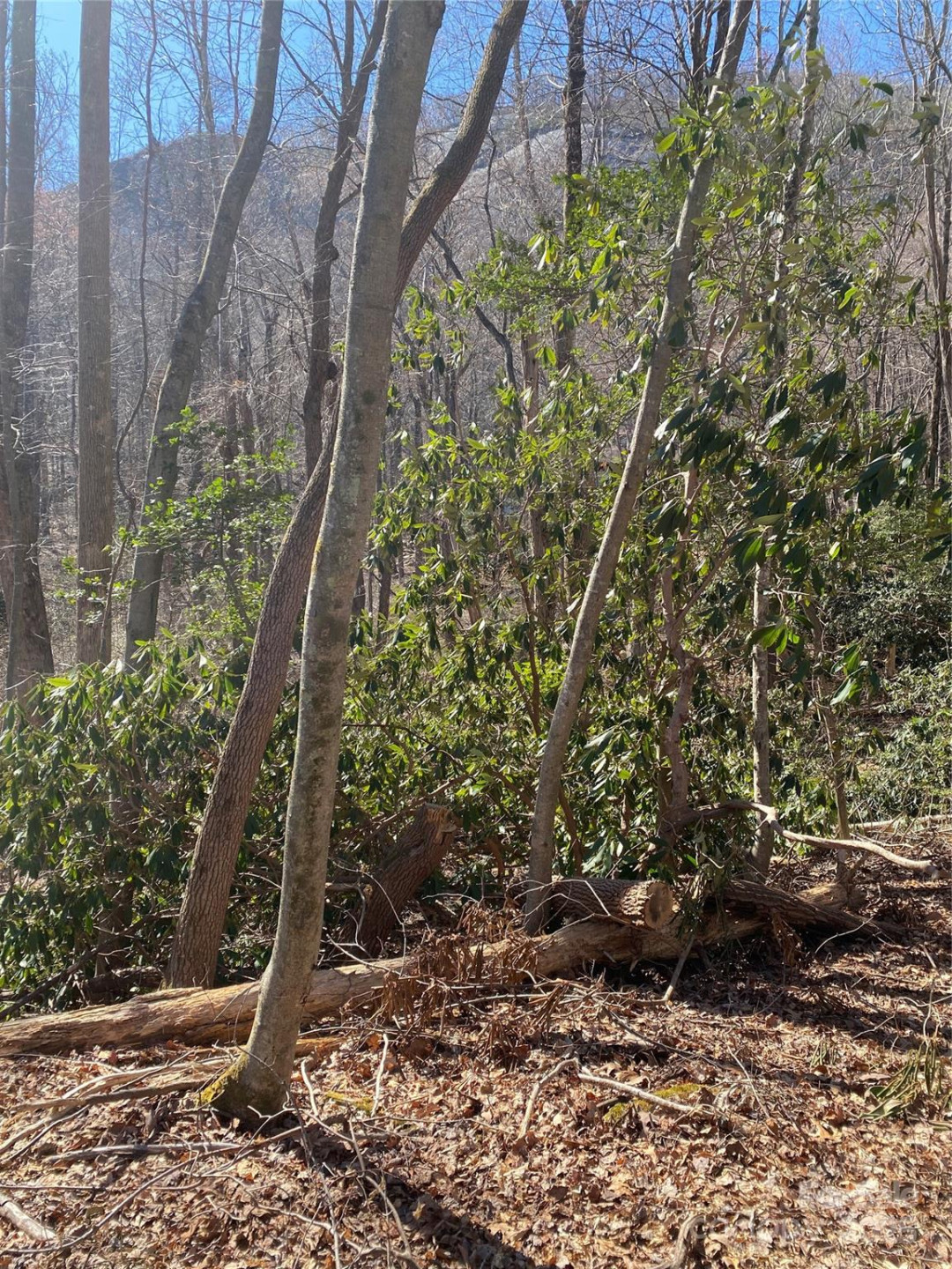 0000 Double Eagle Drive #25 - Photo 13