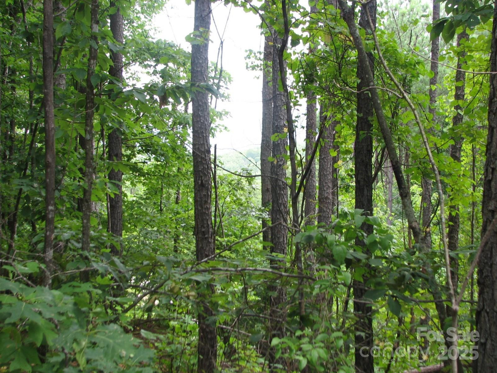 0000 Double Eagle Drive #25 - Photo 16