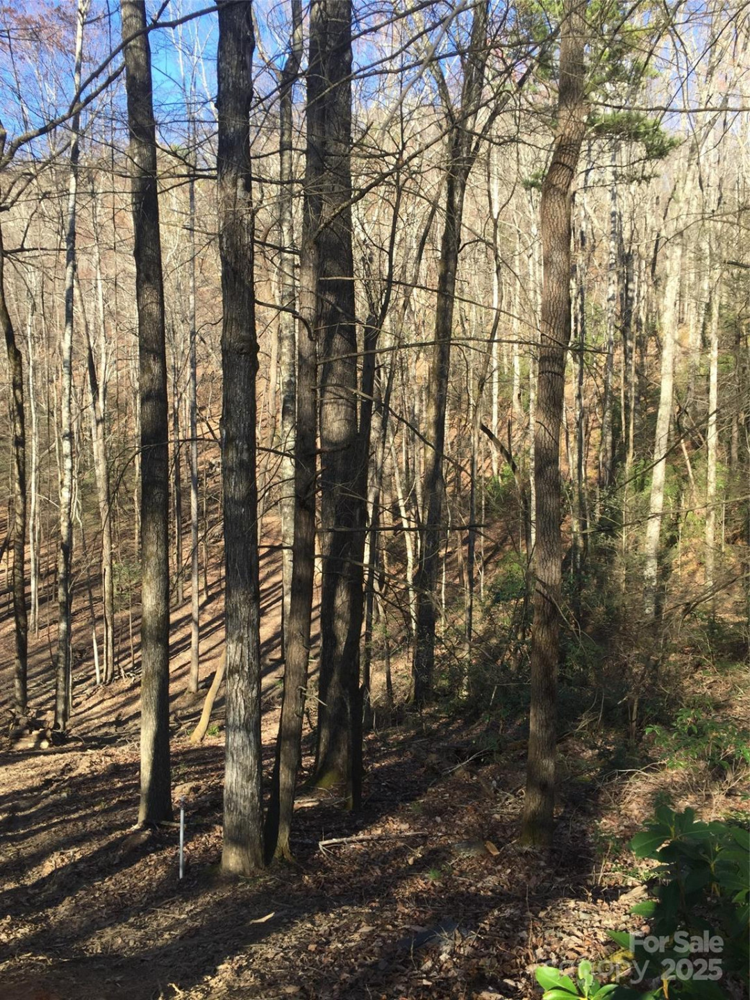 0000 Double Eagle Drive #25 - Photo 22