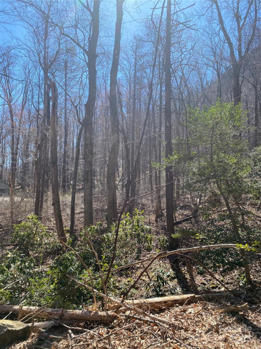 0000 Double Eagle Drive #25 - Photo 24