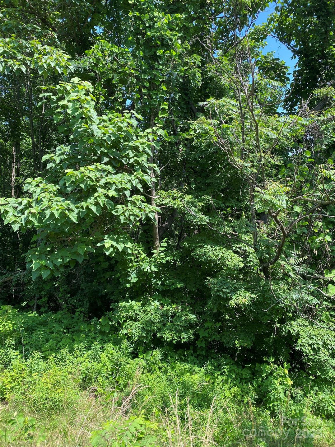 0000 Double Eagle Drive #25 - Photo 29