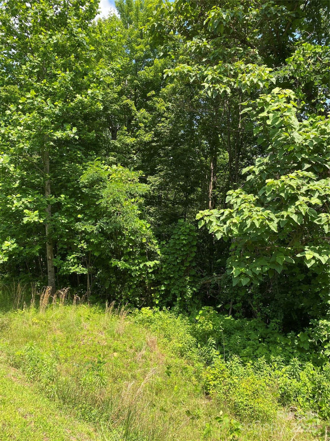 0000 Double Eagle Drive #25 - Photo 30