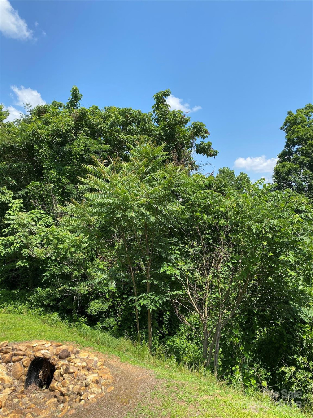 0000 Double Eagle Drive #25 - Photo 31