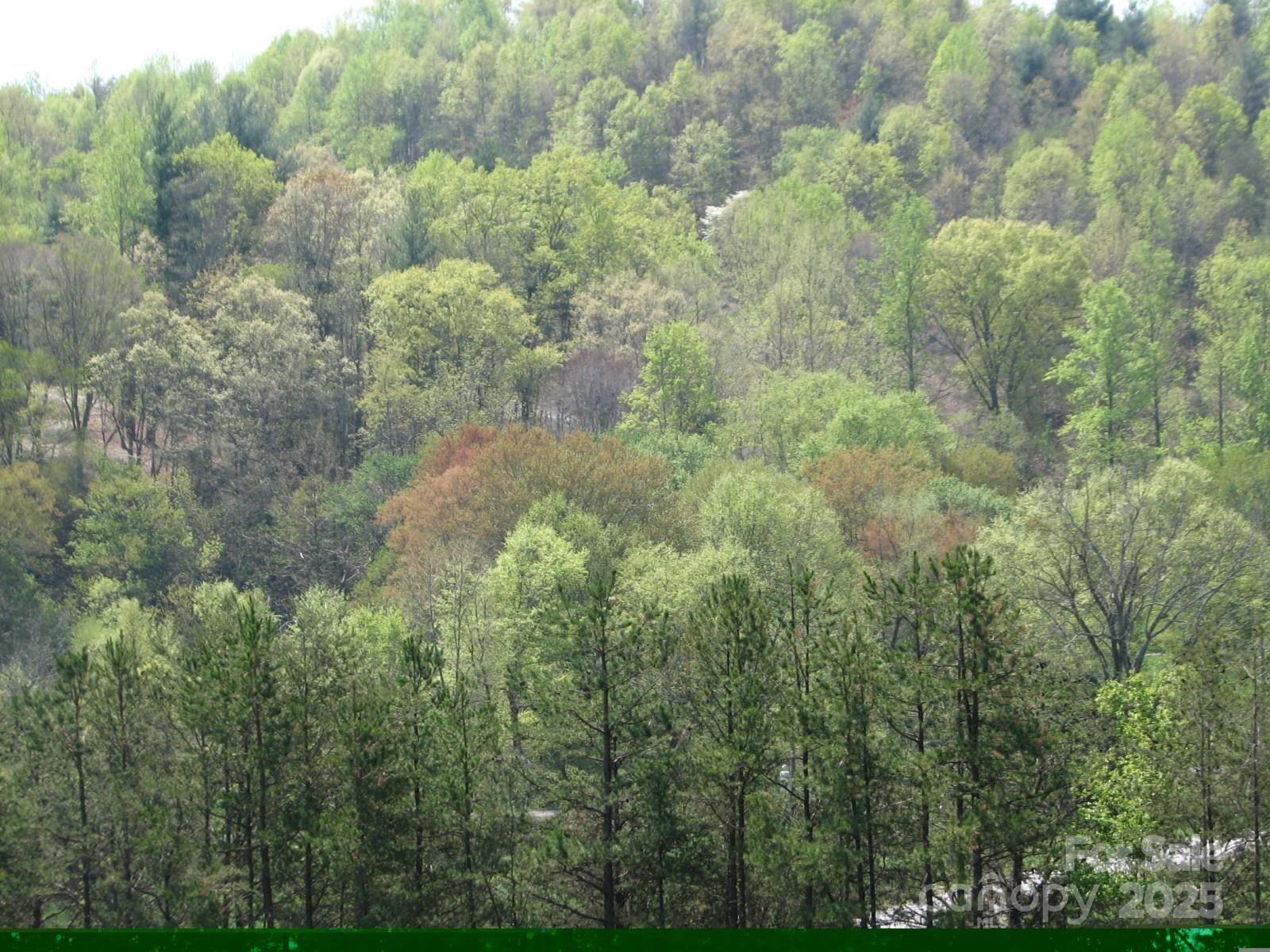 0000 Double Eagle Drive #25 - Photo 33