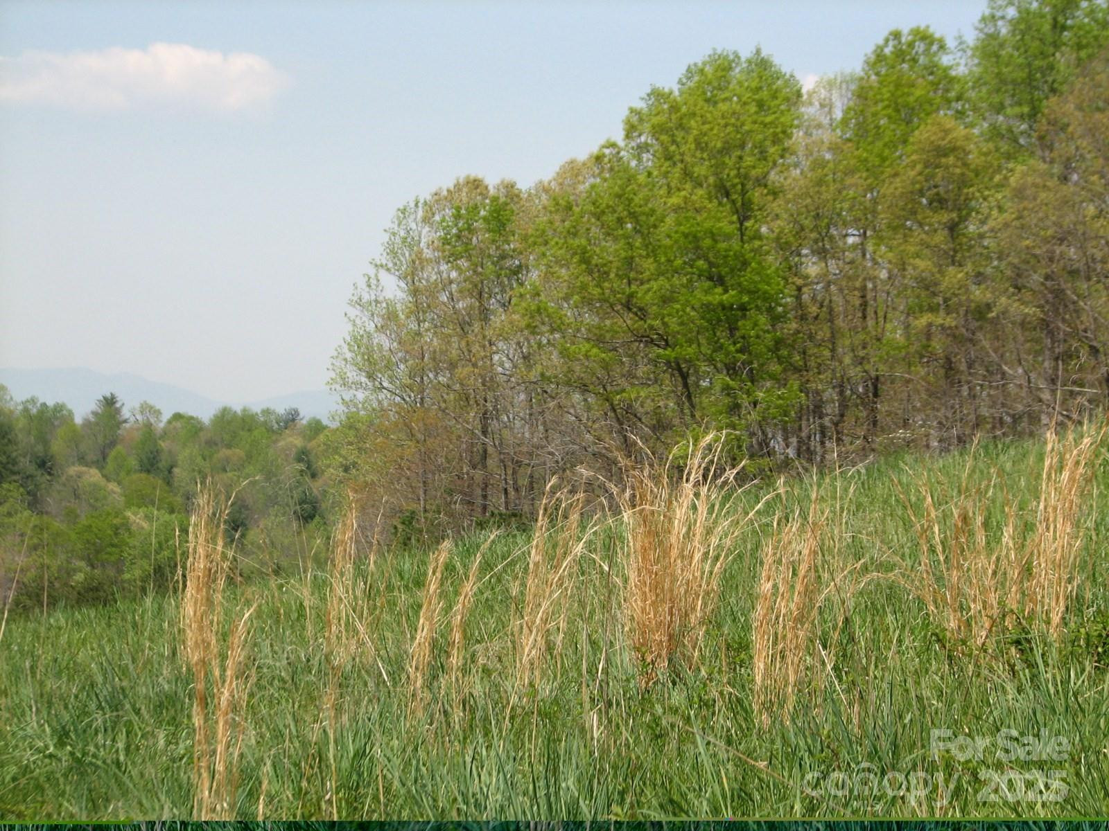 0000 Double Eagle Drive #25 - Photo 34