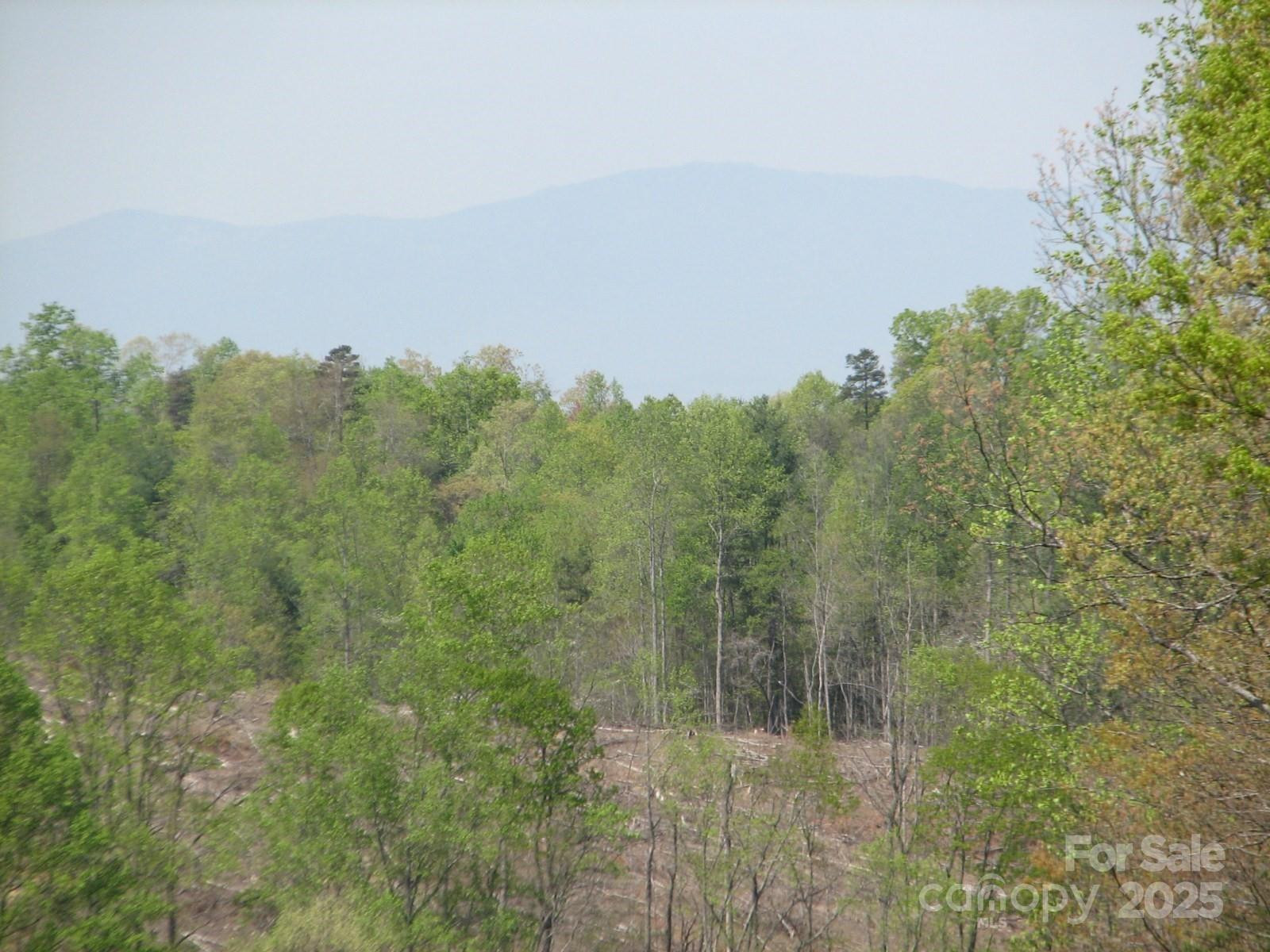 0000 Double Eagle Drive #25 - Photo 35