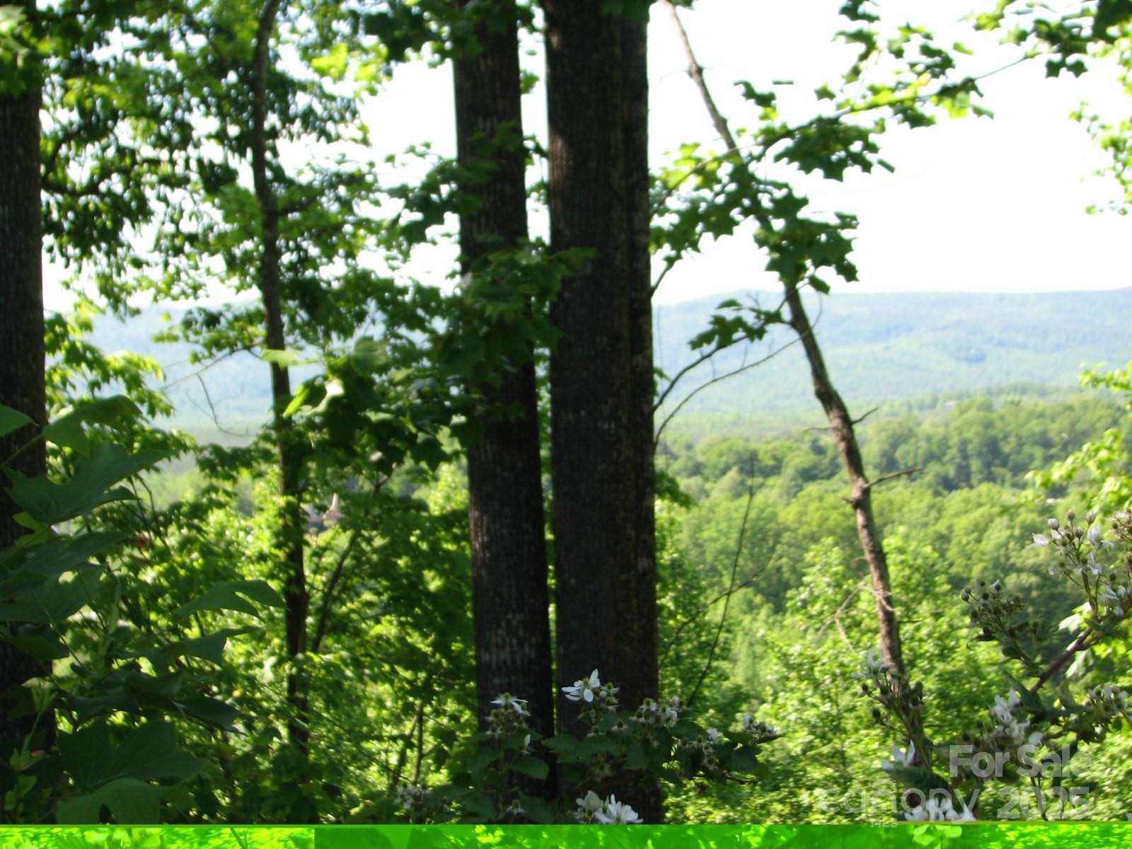 0000 Double Eagle Drive #25 - Photo 36