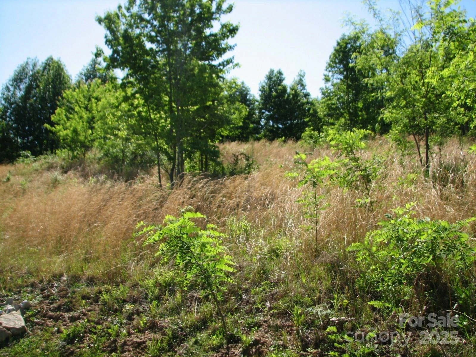 0000 Double Eagle Drive #25 - Photo 9
