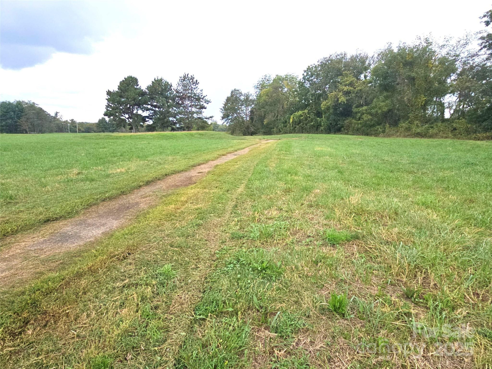 111 Howard Gap Road - Photo 11