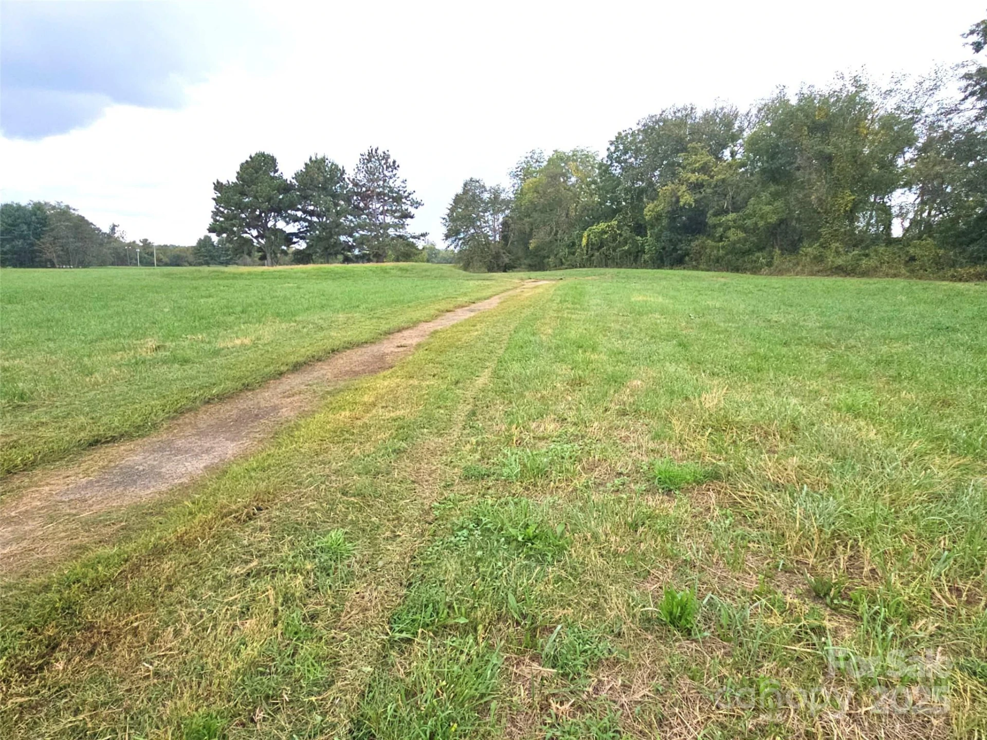 111 Howard Gap Road - Photo 11