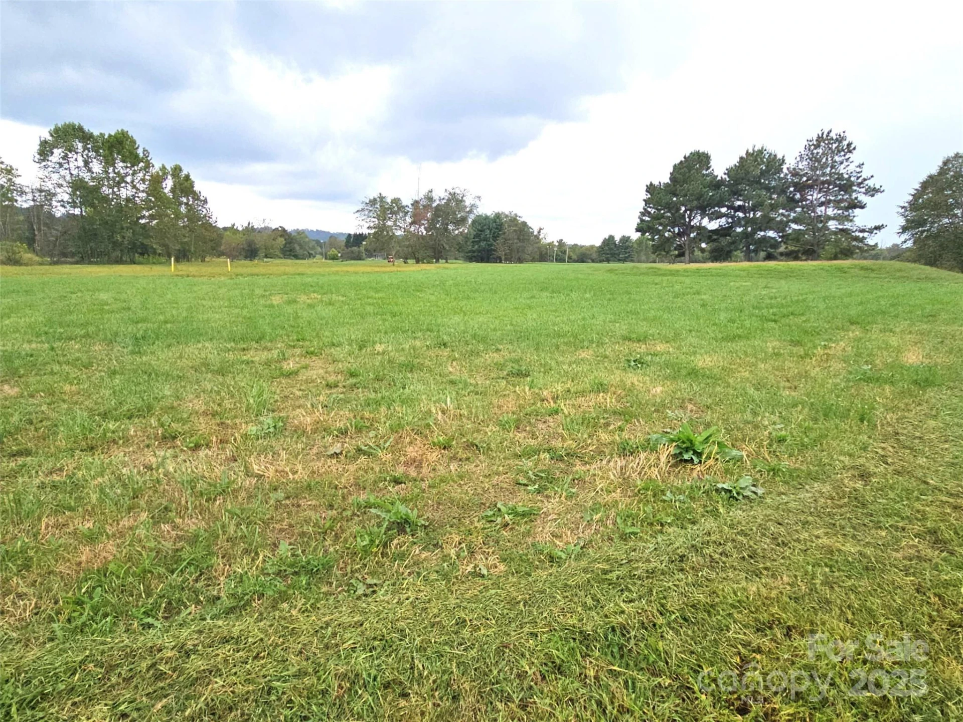 111 Howard Gap Road - Photo 12