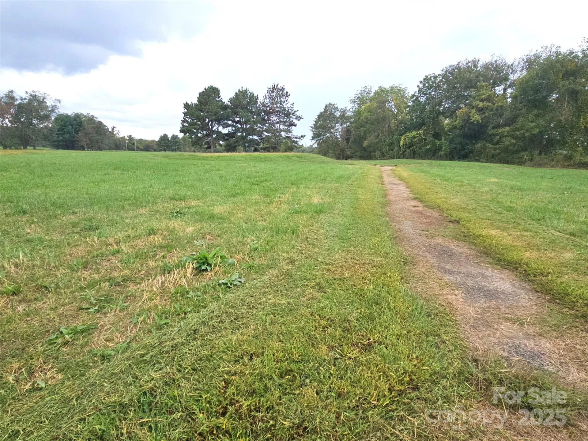 111 Howard Gap Road - Photo 13