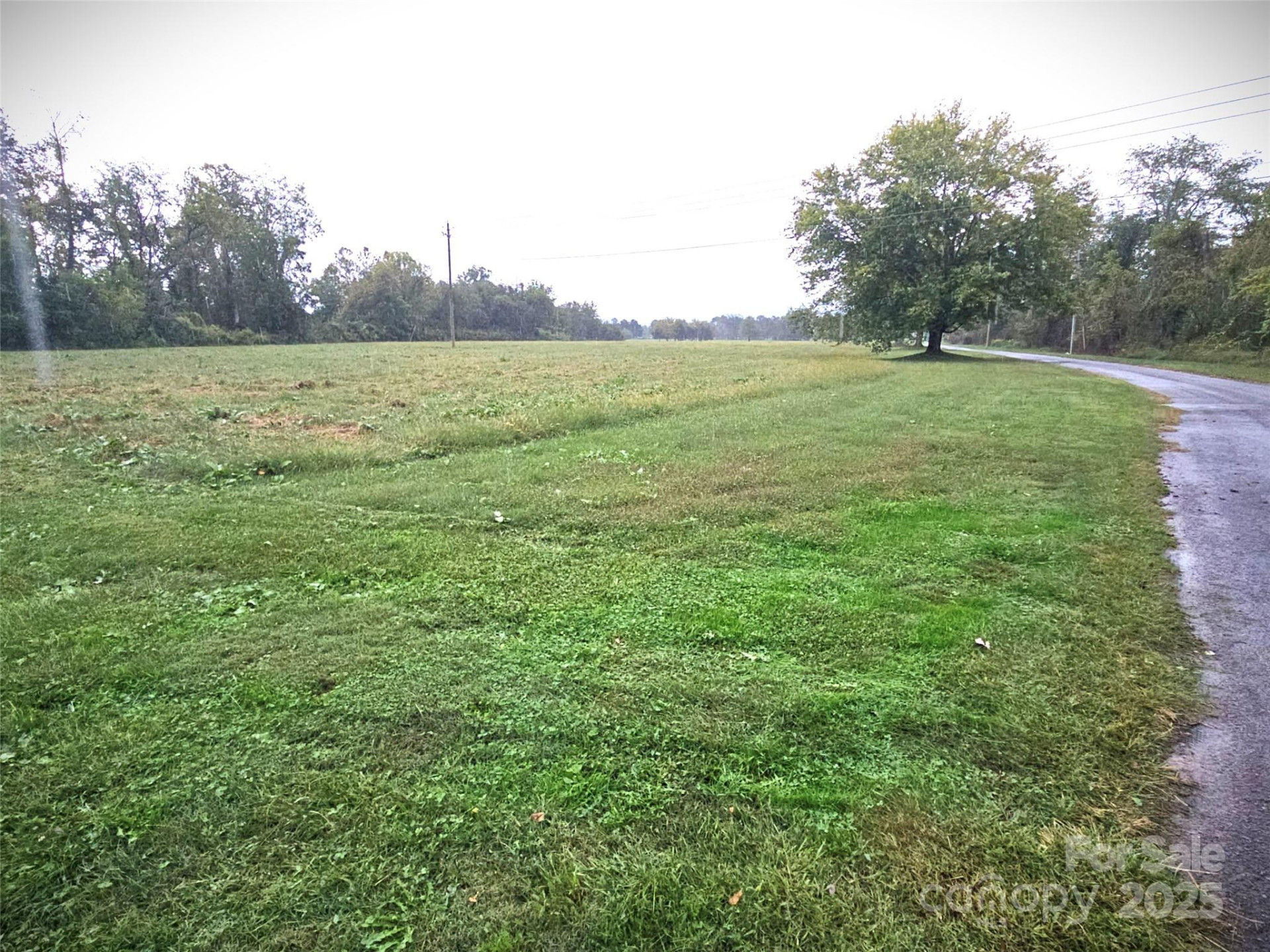 111 Howard Gap Road - Photo 16