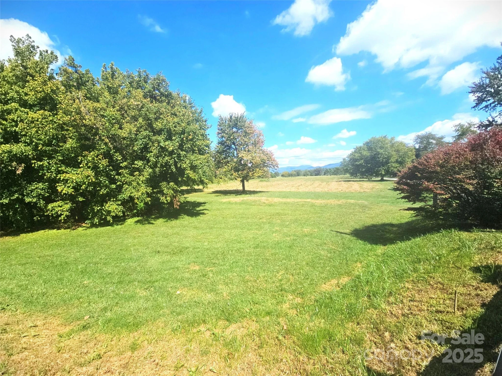 111 Howard Gap Road - Photo 17