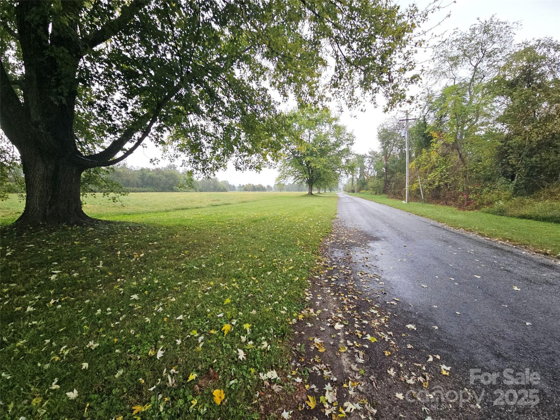 111 Howard Gap Road - Photo 18