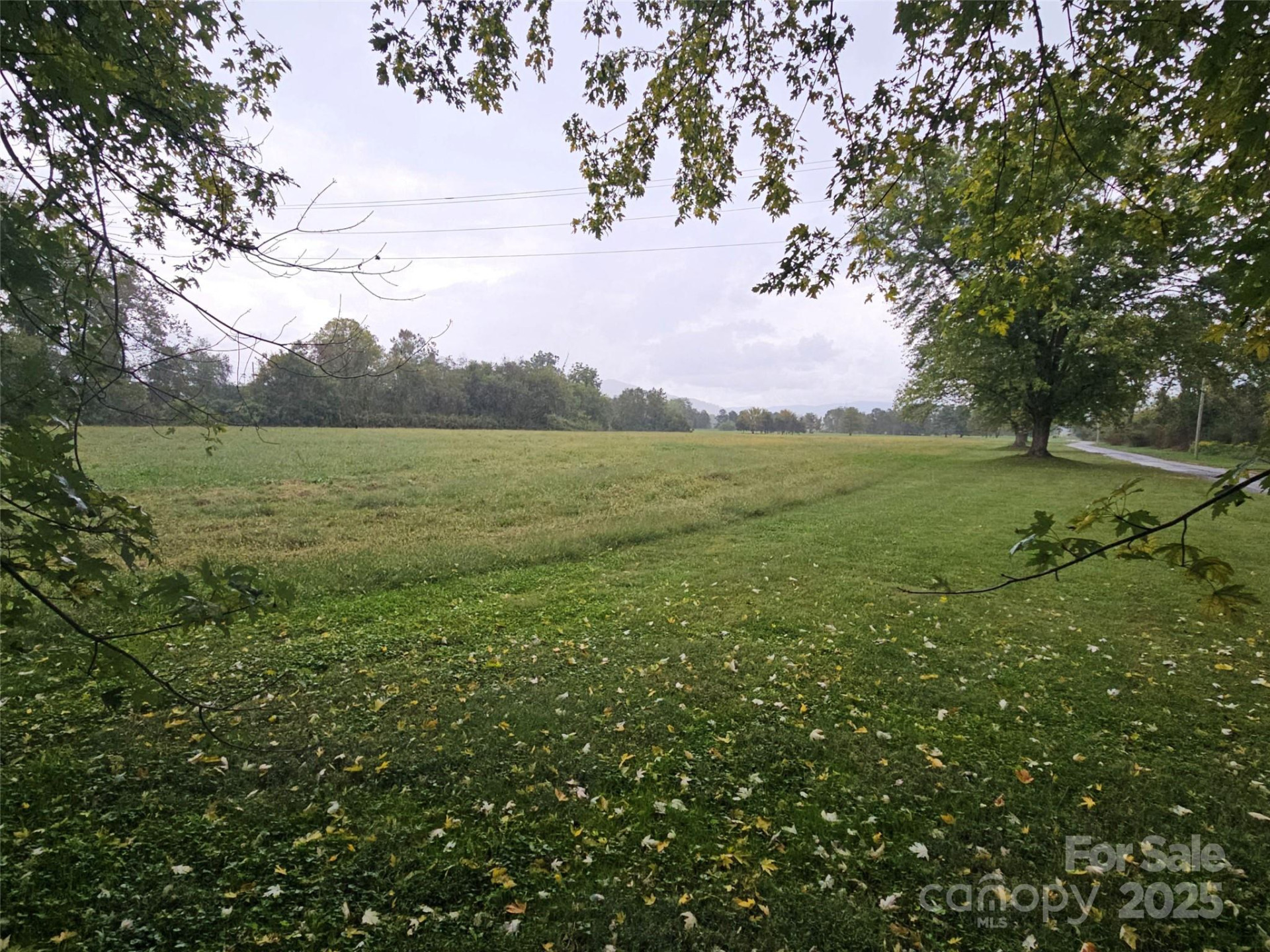 111 Howard Gap Road - Photo 19