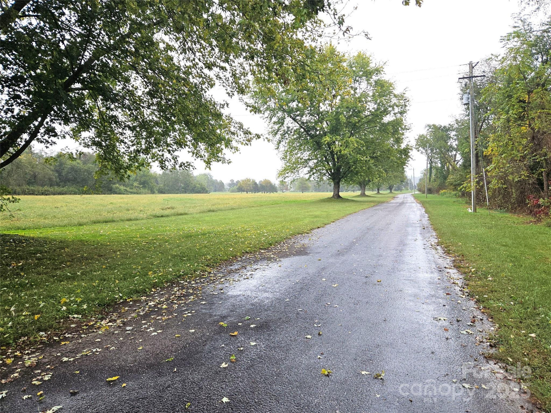 111 Howard Gap Road - Photo 20