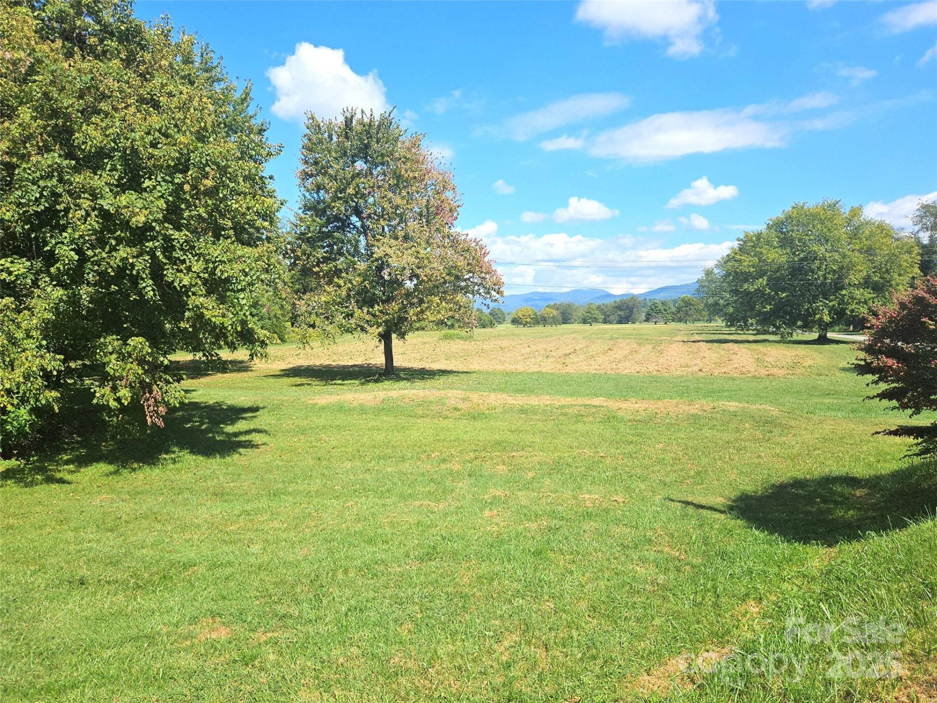 111 Howard Gap Road - Photo 3