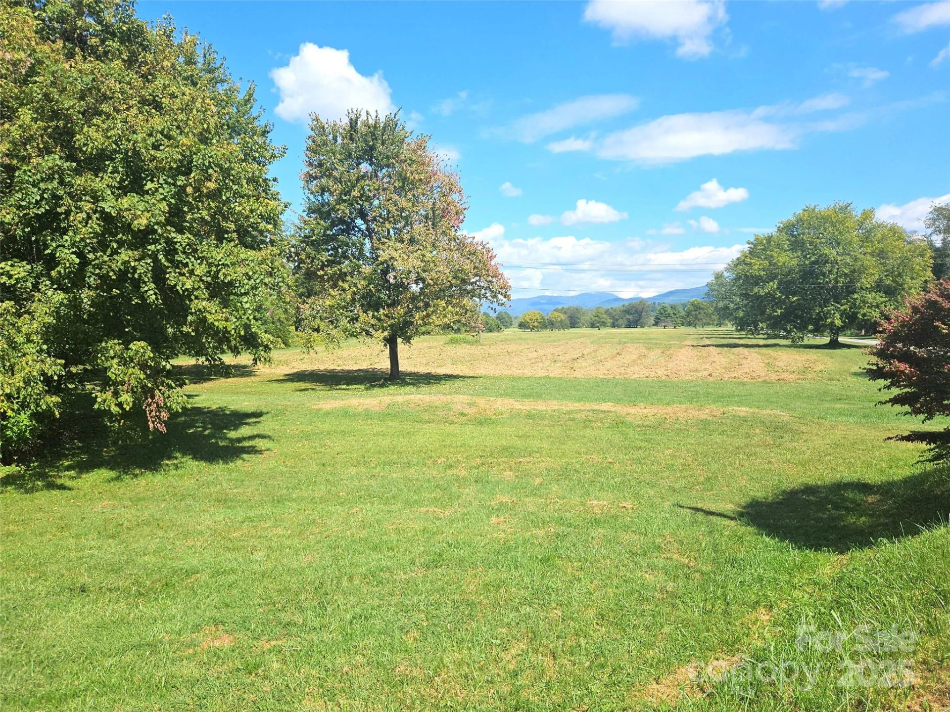 111 Howard Gap Road - Photo 3