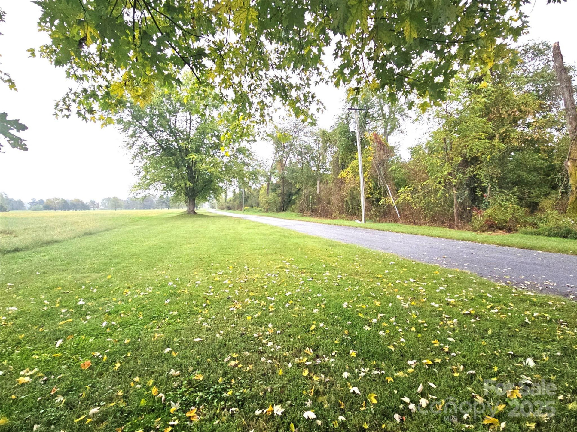 111 Howard Gap Road - Photo 21