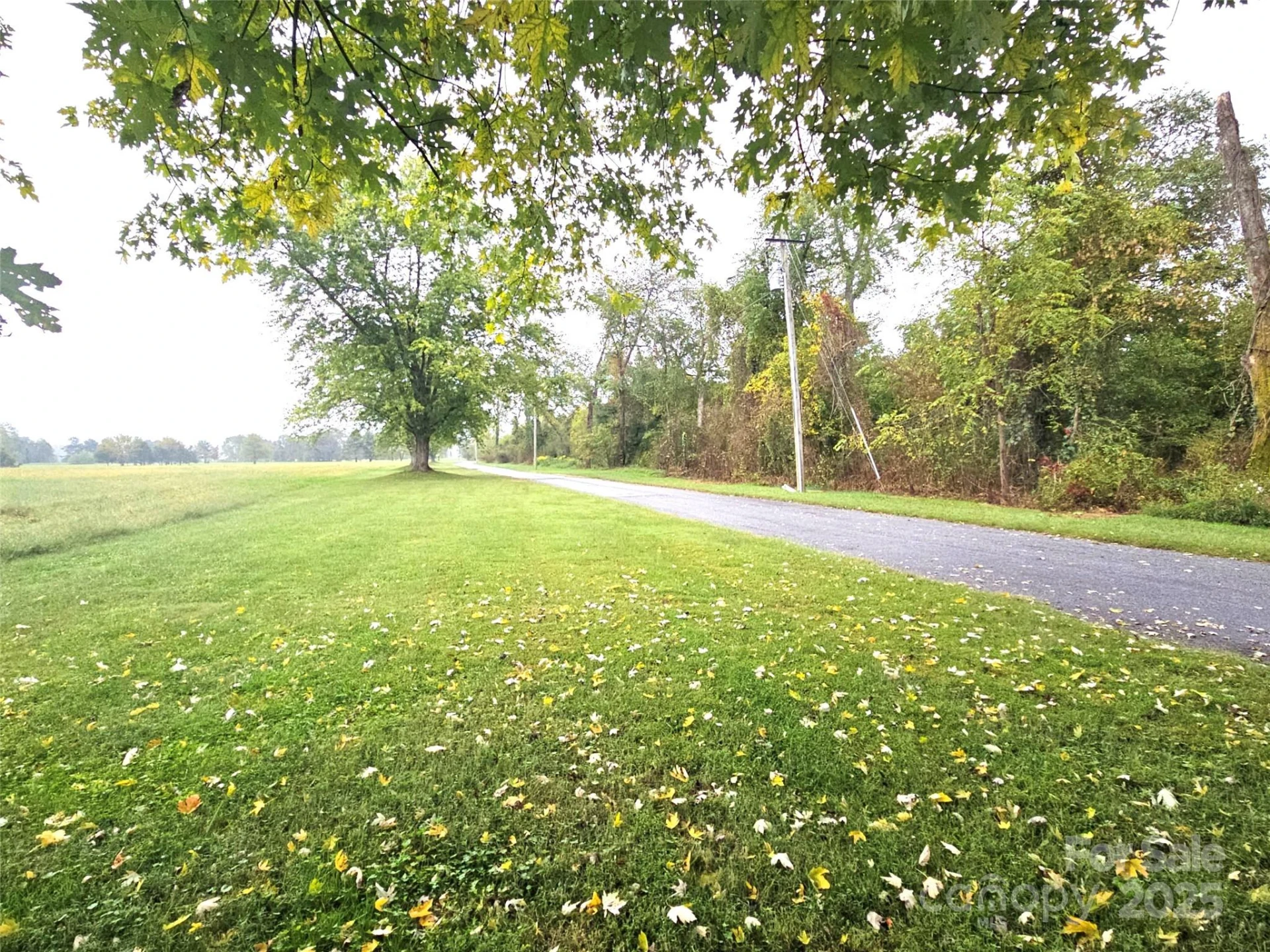 111 Howard Gap Road - Photo 21