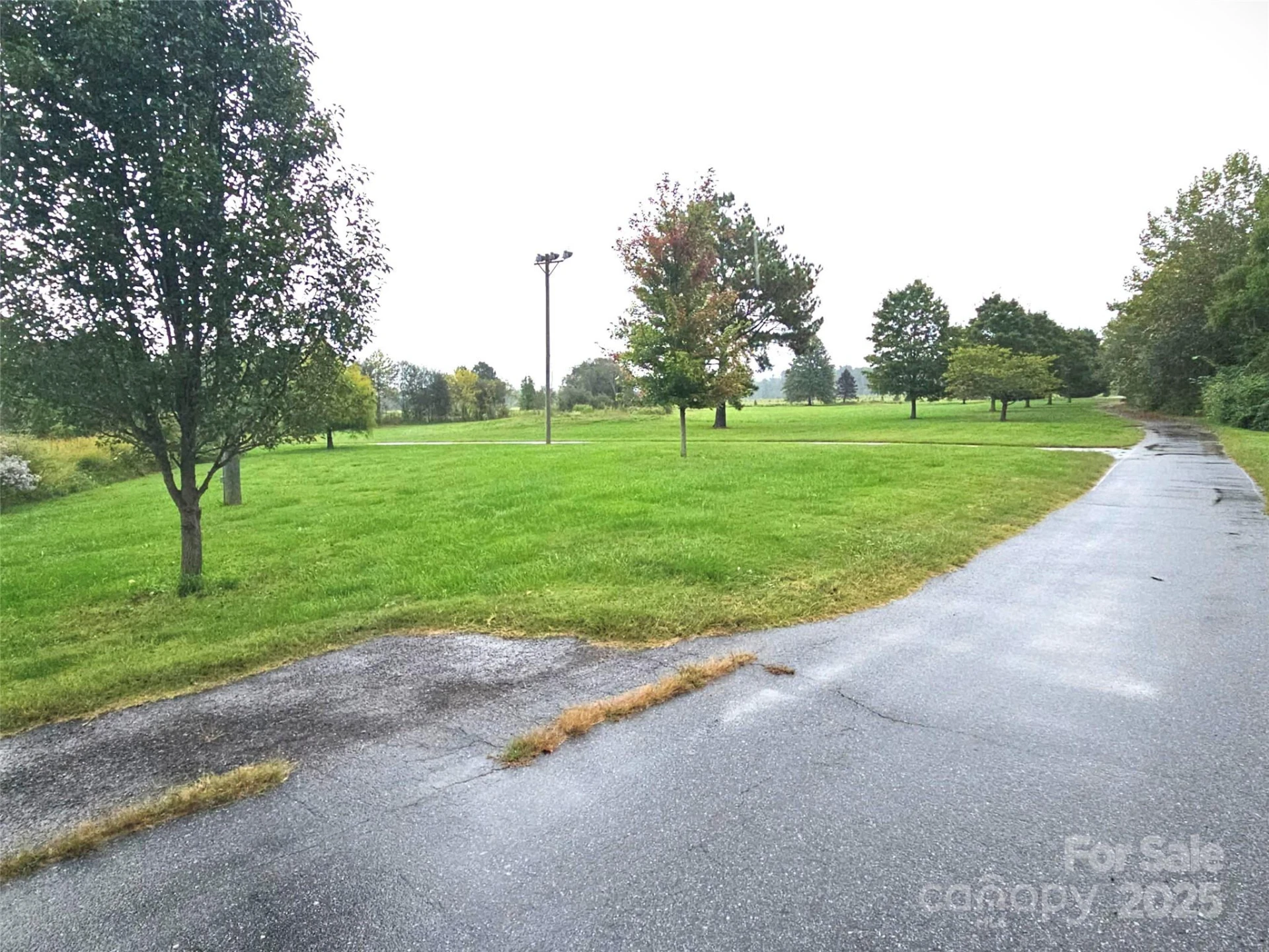 111 Howard Gap Road - Photo 22