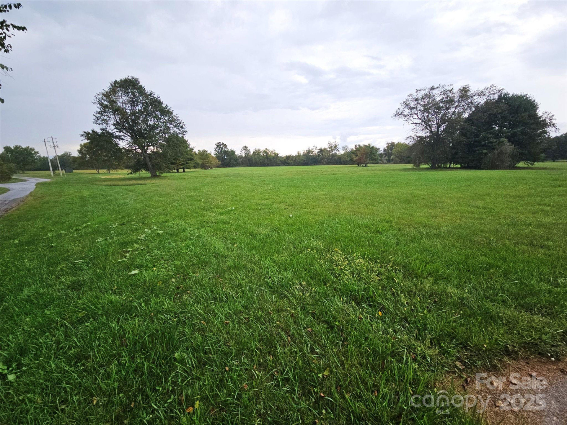 111 Howard Gap Road - Photo 23