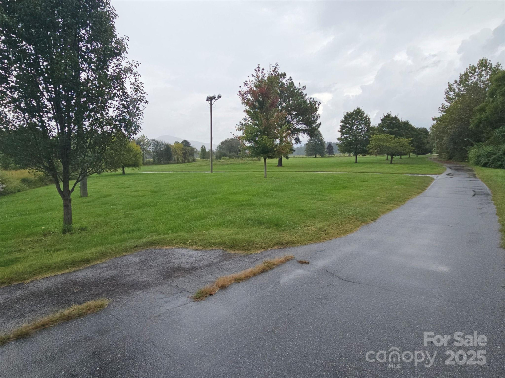 111 Howard Gap Road - Photo 24