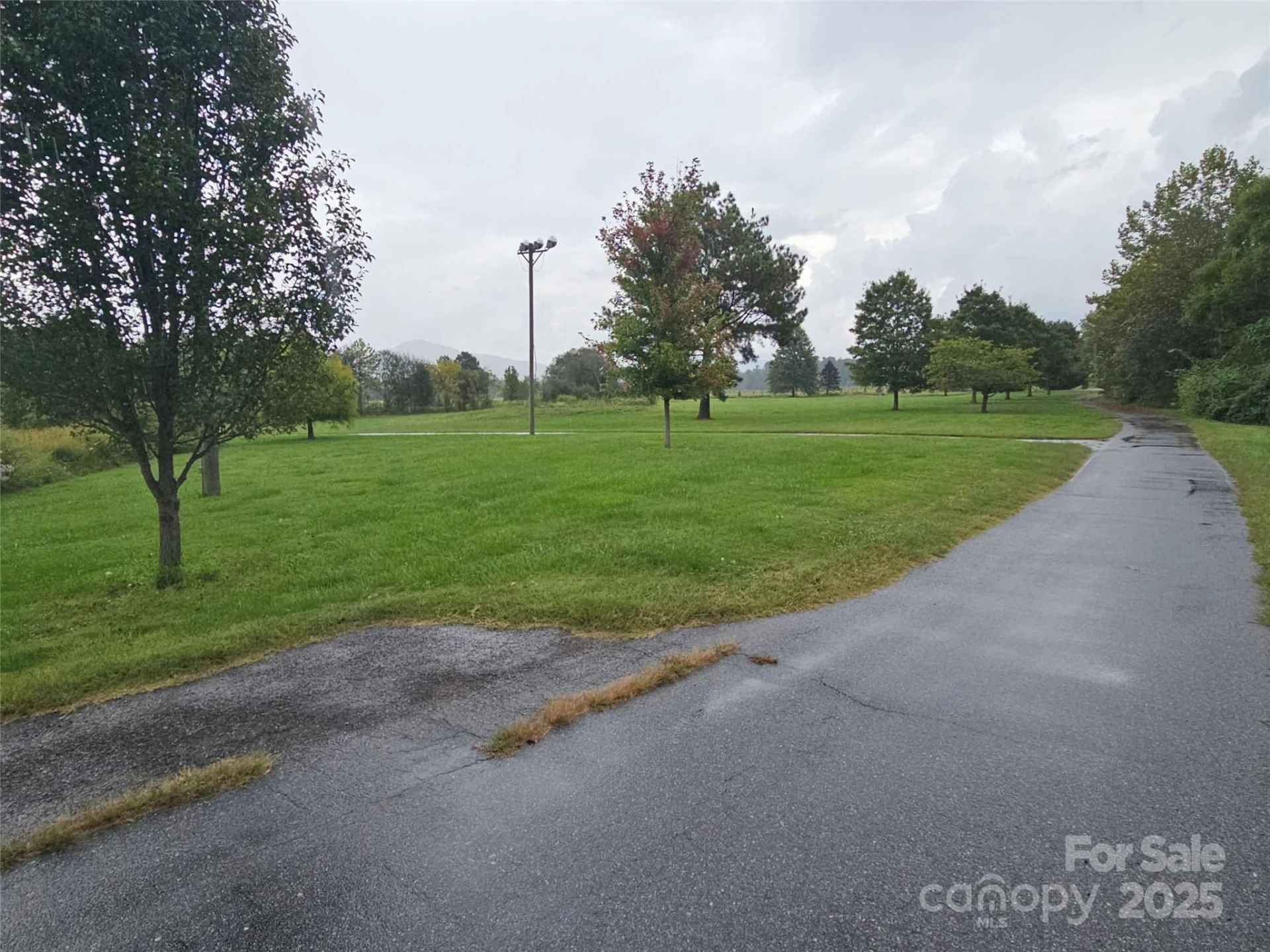 111 Howard Gap Road - Photo 24