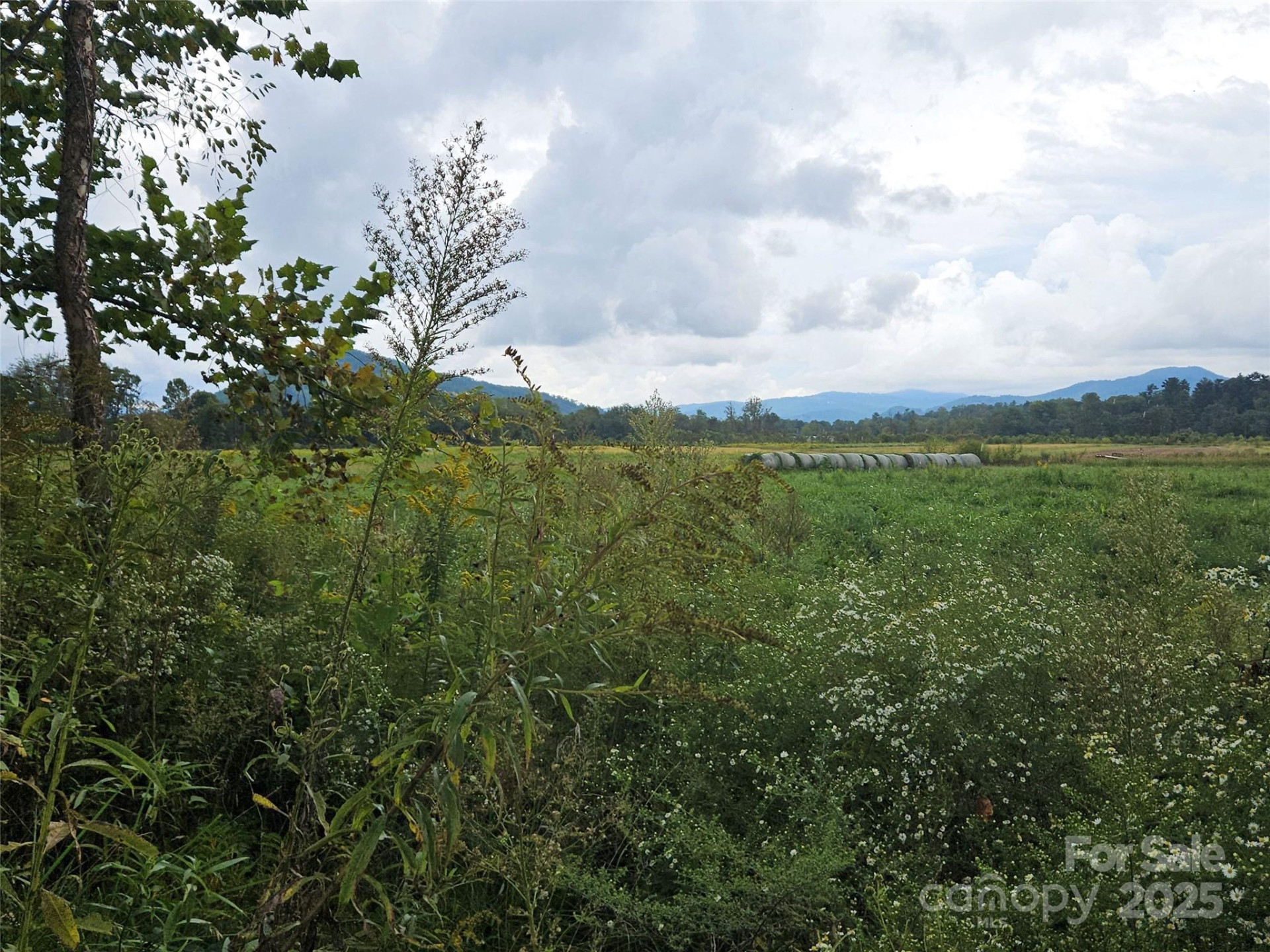 111 Howard Gap Road - Photo 5