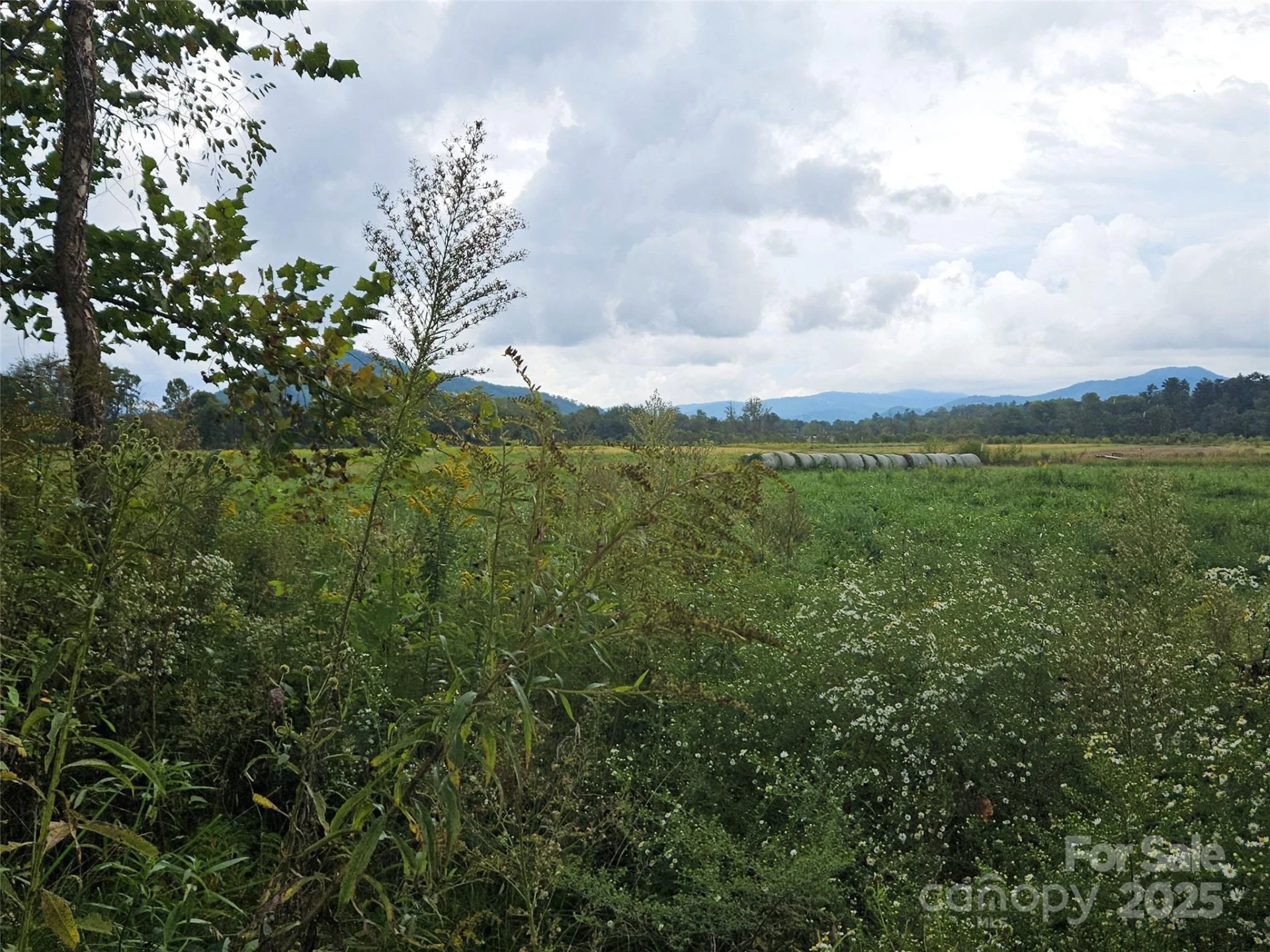 111 Howard Gap Road - Photo 5