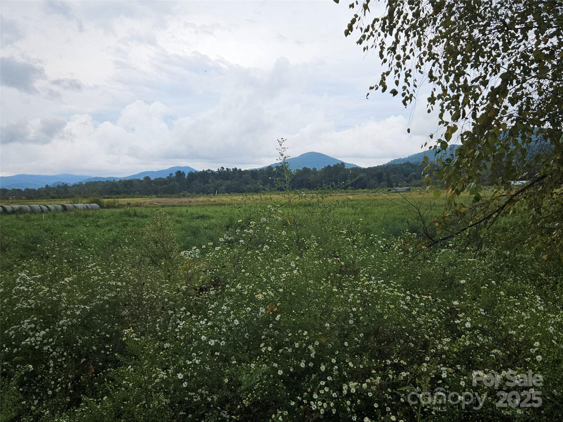 111 Howard Gap Road - Photo 6