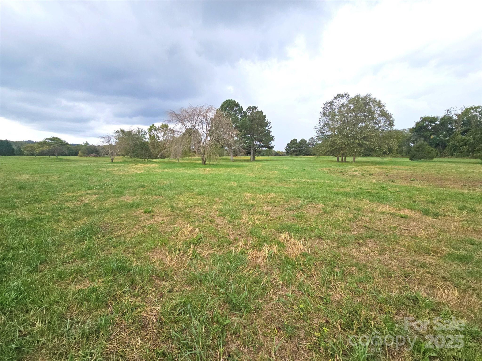 111 Howard Gap Road - Photo 7