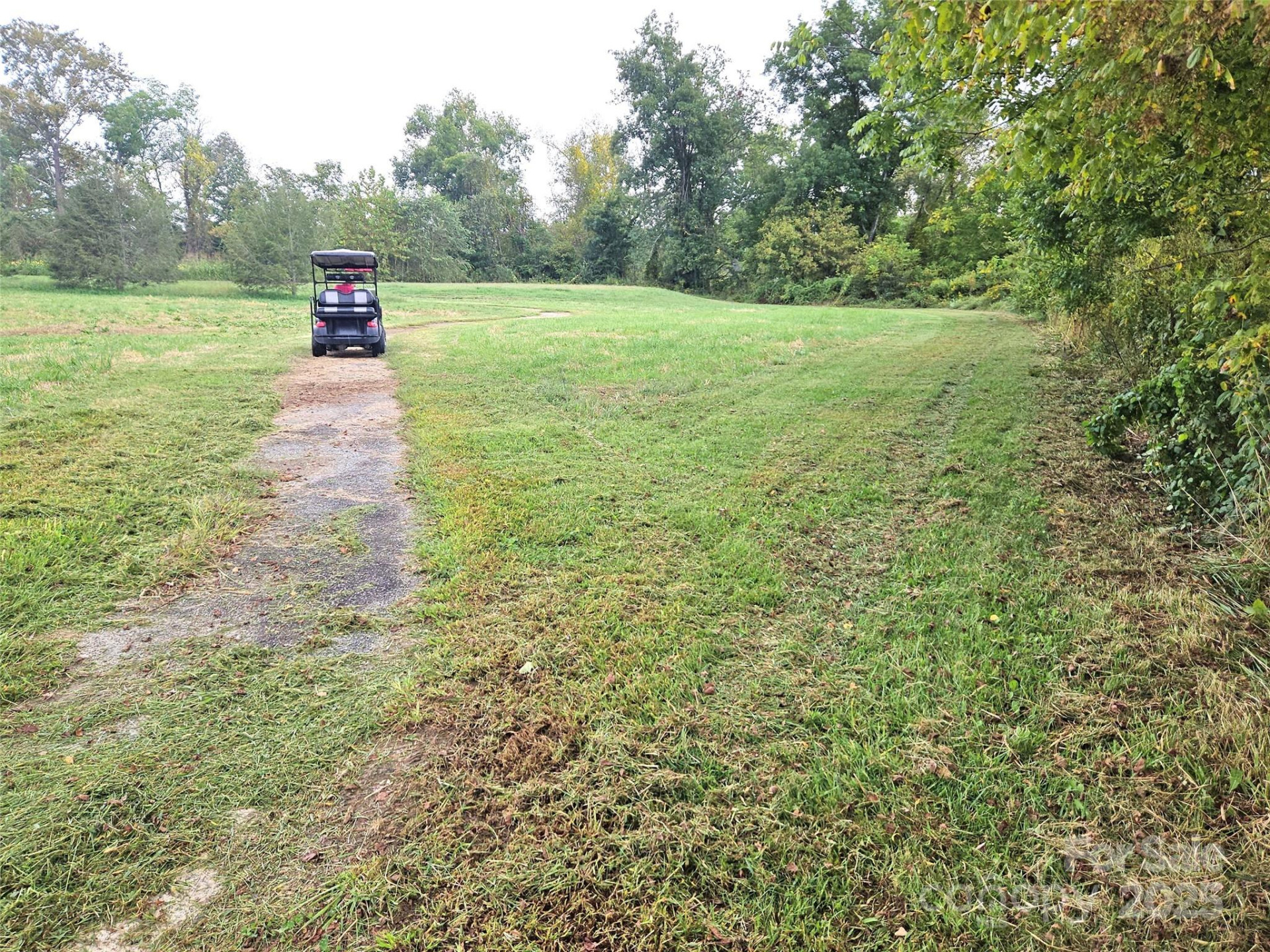 111 Howard Gap Road - Photo 9