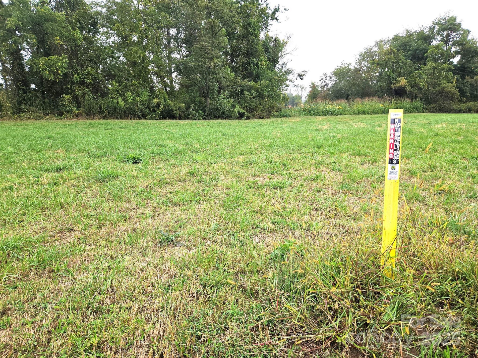 111 Howard Gap Road - Photo 10