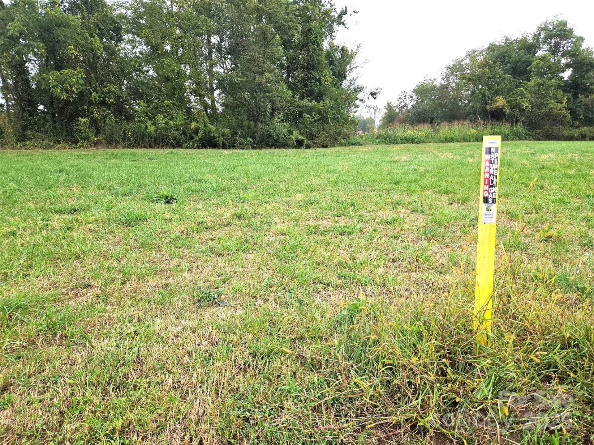 111 Howard Gap Road - Photo 10