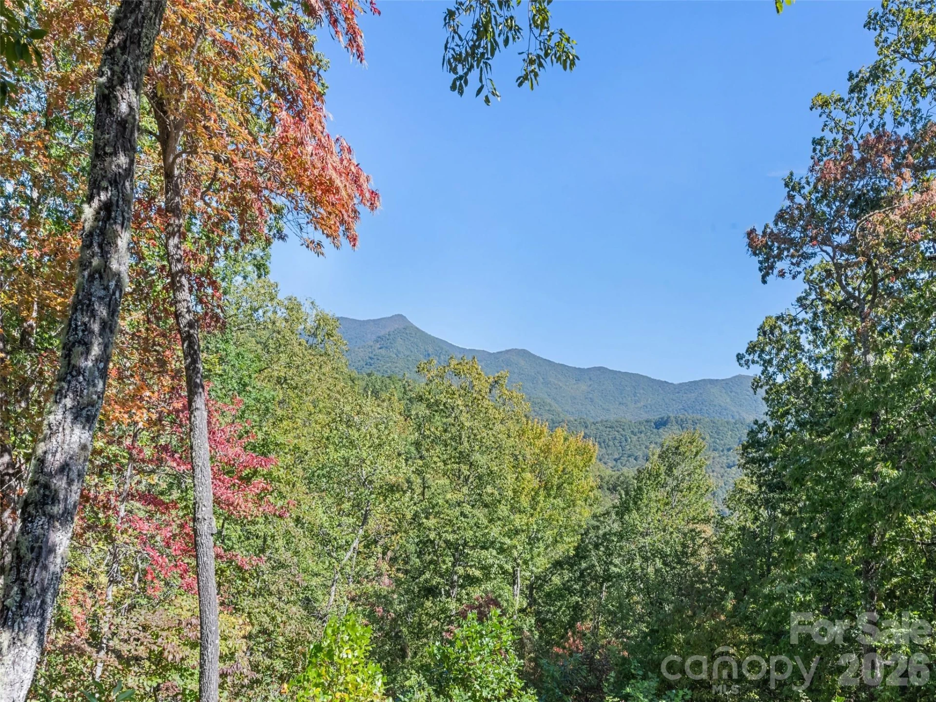 1635 Quest Ridge - Photo 46